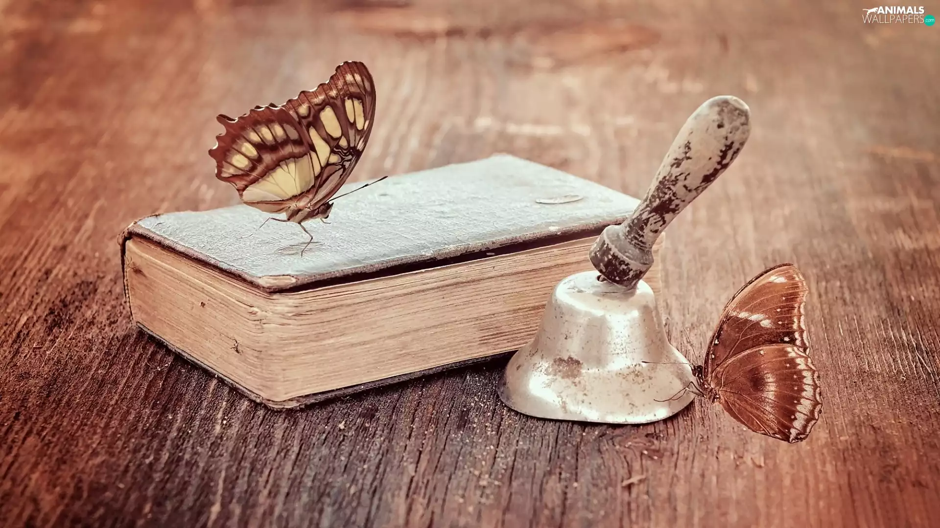 bell, Book, butterflies