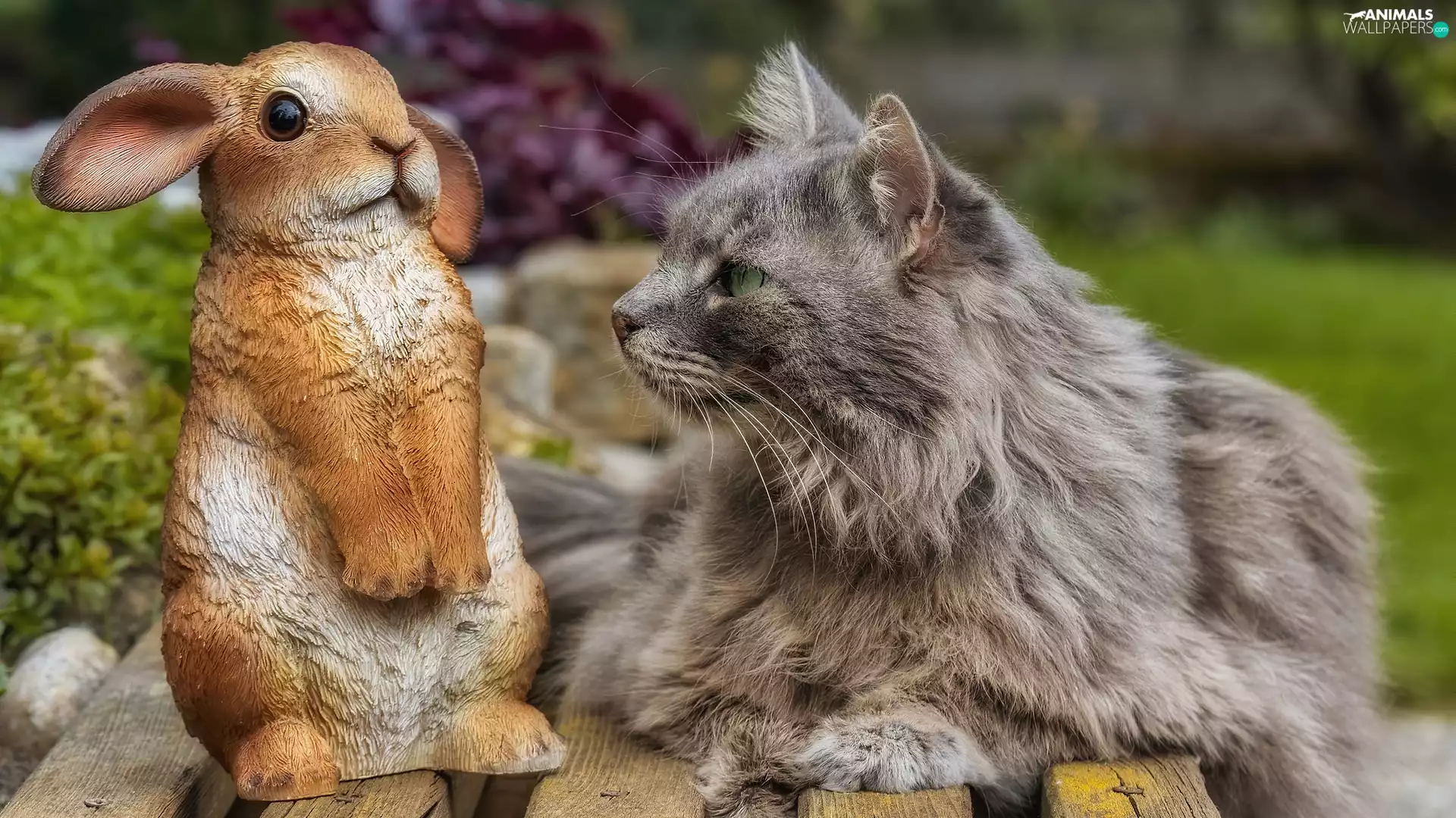 rabbit, Bench, cat, figure, Gray