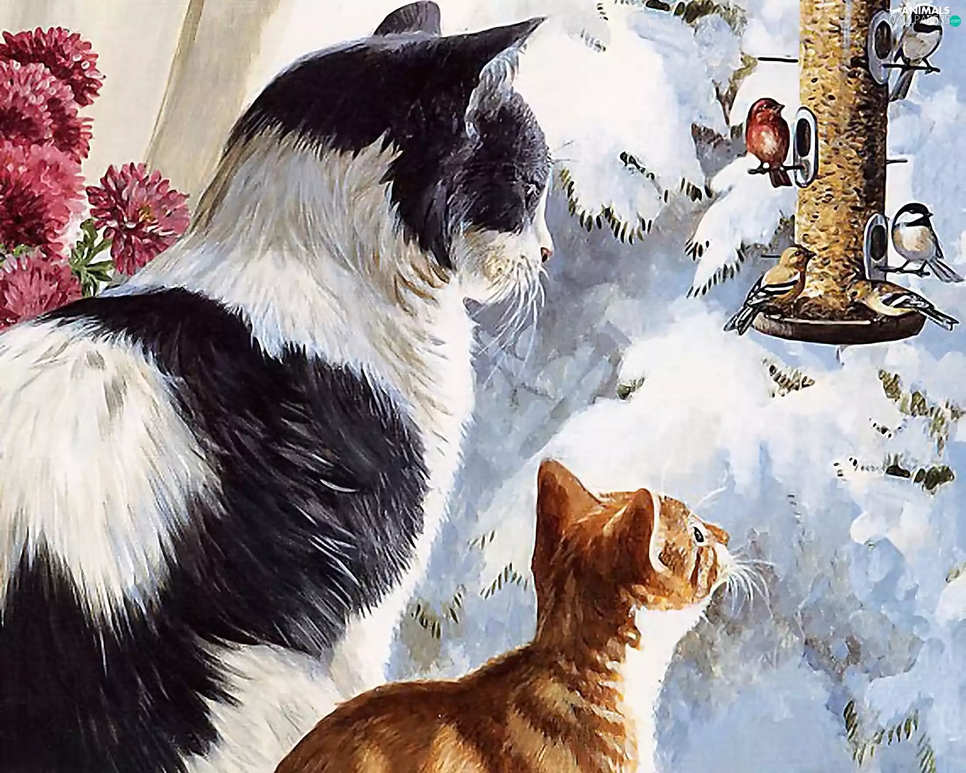 birds, winter, puss, Bird, Two cars