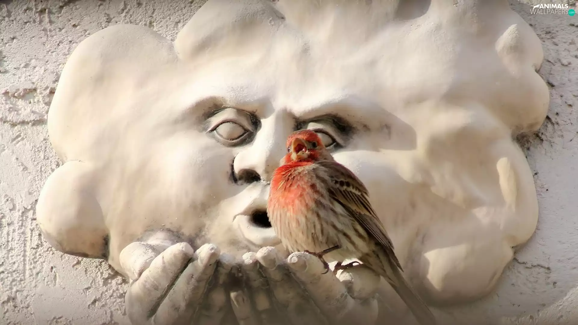 Bird, sculpture, Cloud