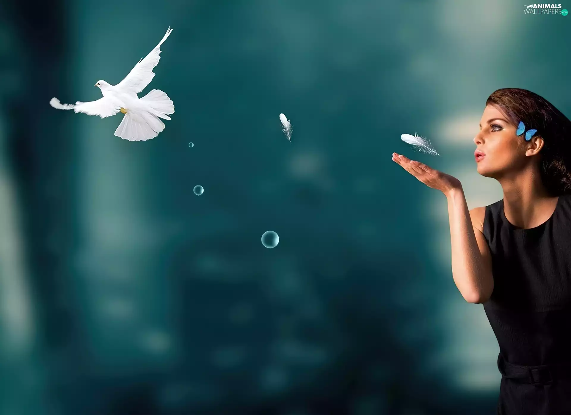 Bird, Women, feather