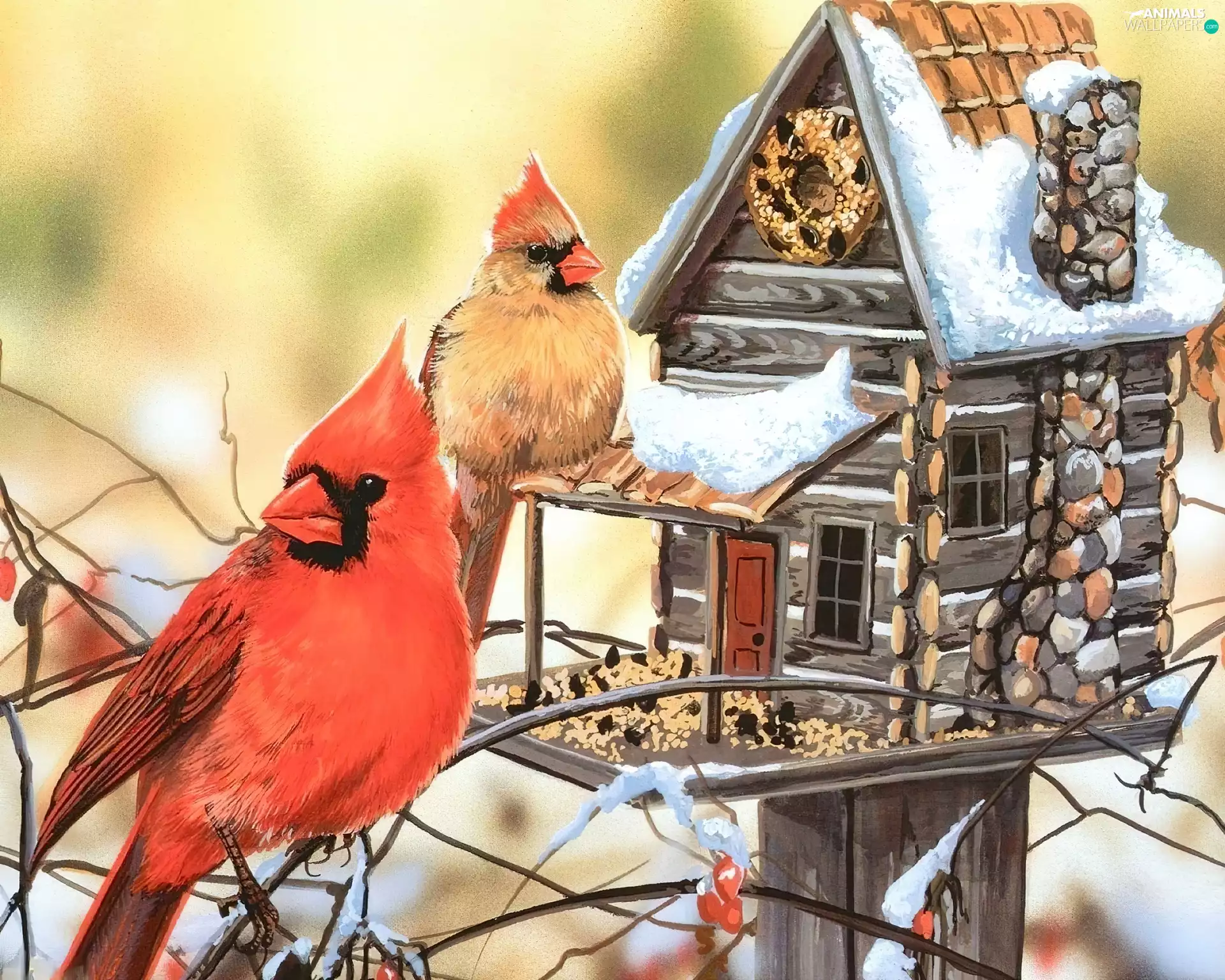 birds, Bird, Poster Image, Cardinals