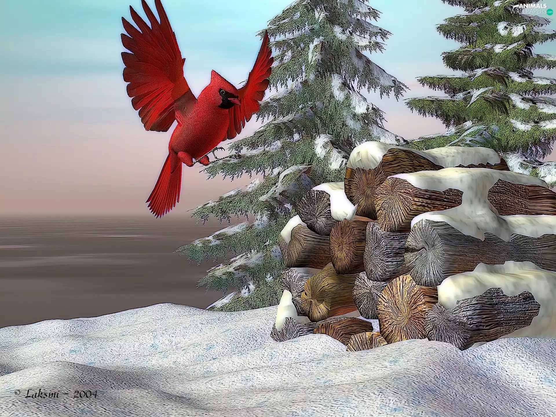 winter, cardinal, 3D, Bird