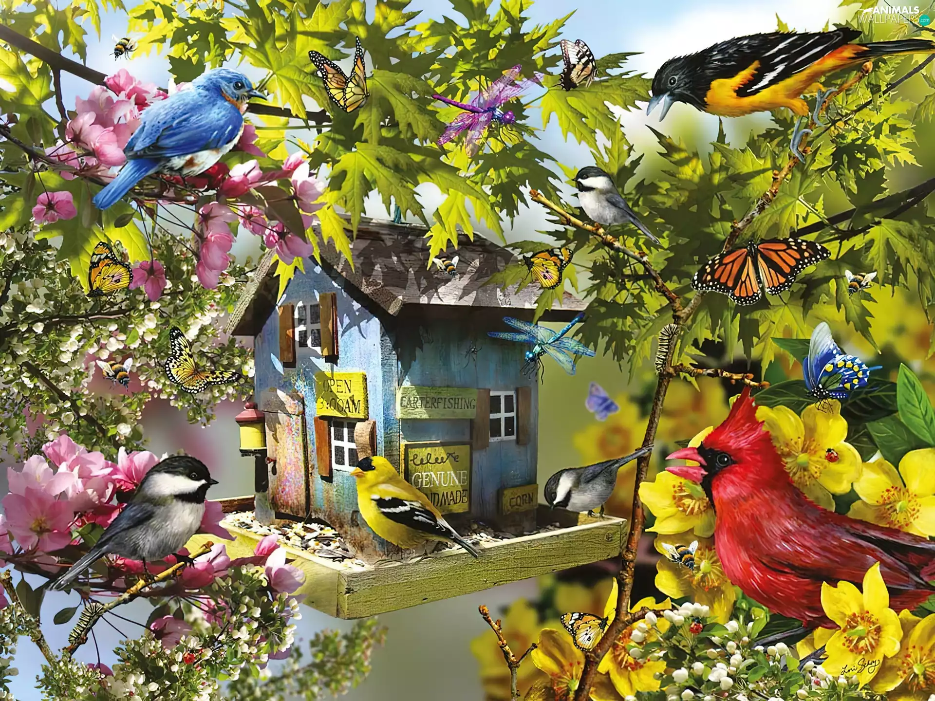 Magnolia, Home, painting, birds