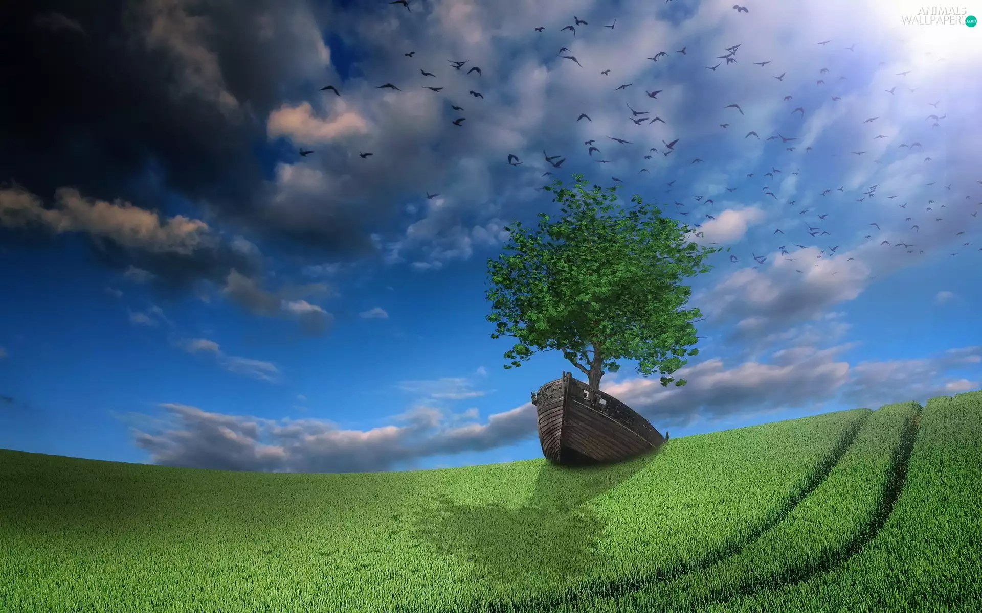 birds, trees, Meadow