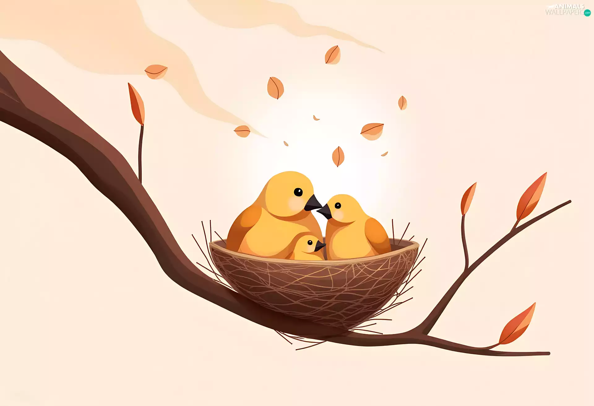 Three, socket, branch, birds