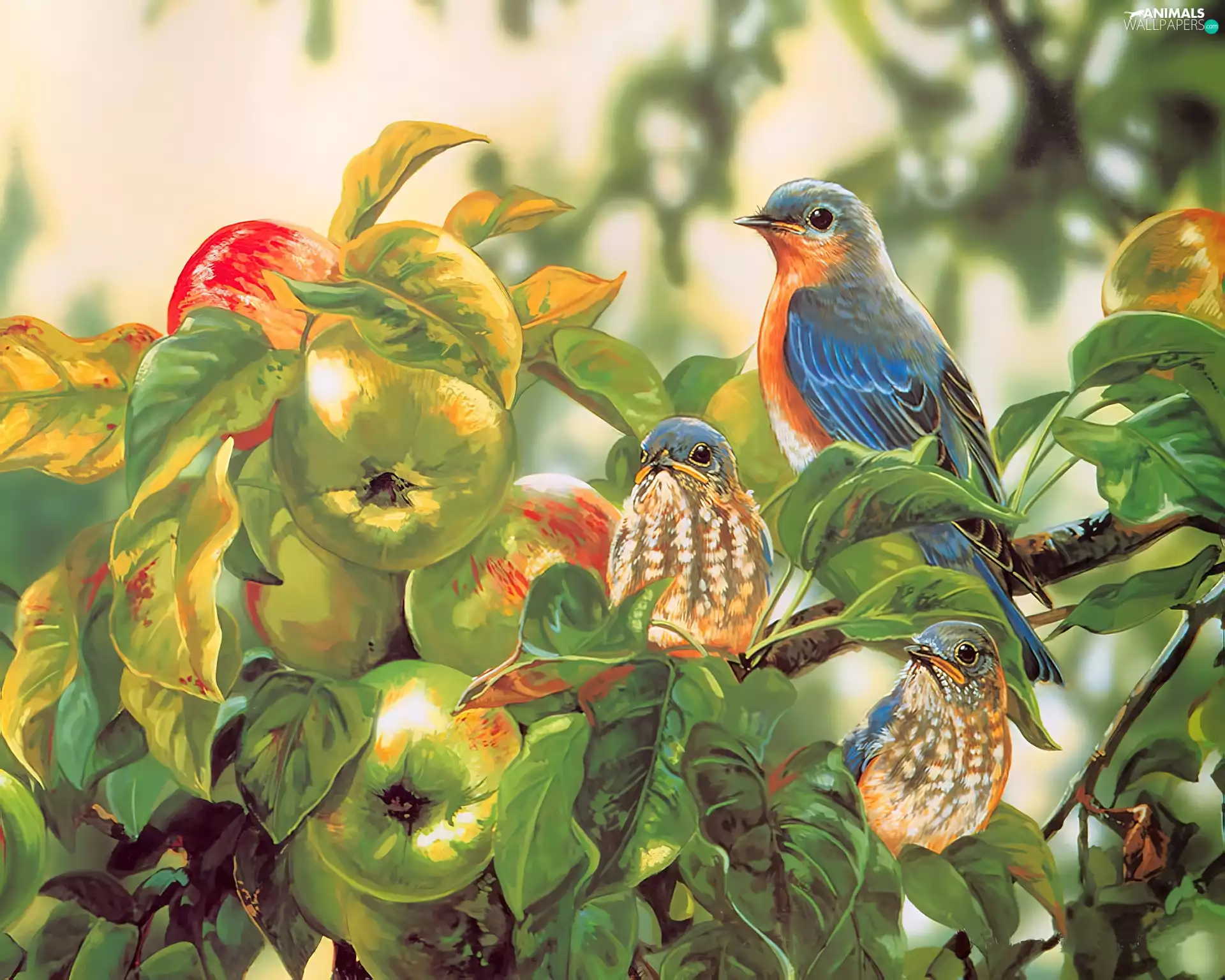 picture, apple-tree, Birds on the log