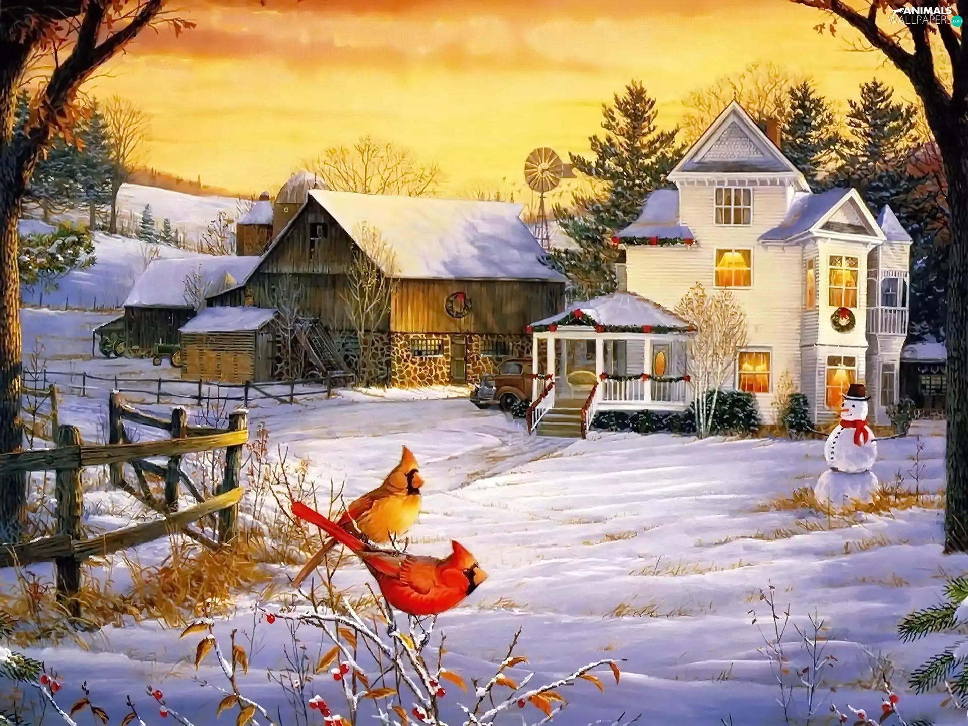 birds, house, God, birth, Cardinals, winter