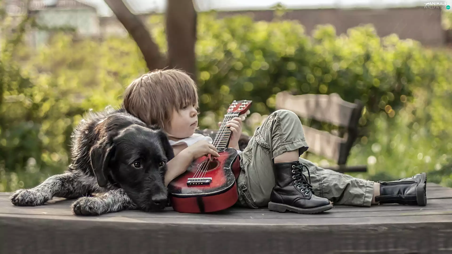 boy, dog, Guitar, Black
