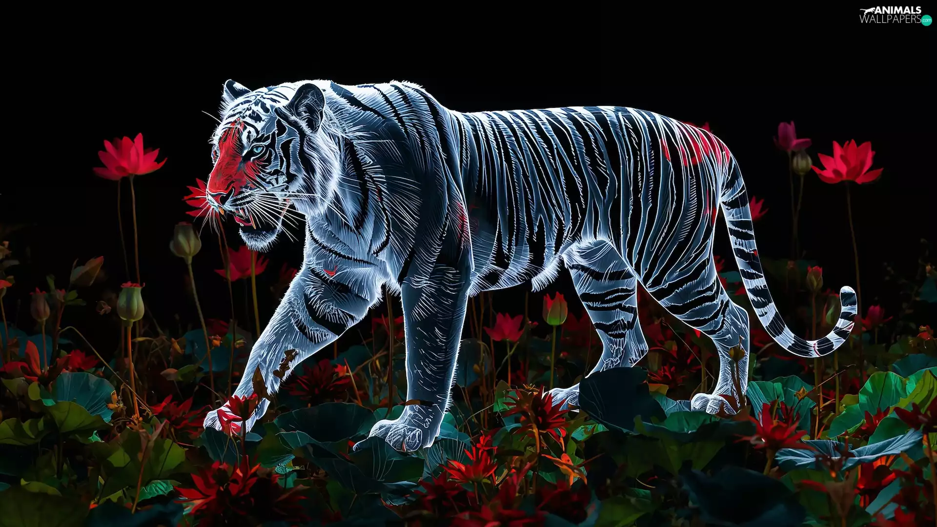 Flowers, tiger, background, Black, Red, graphics