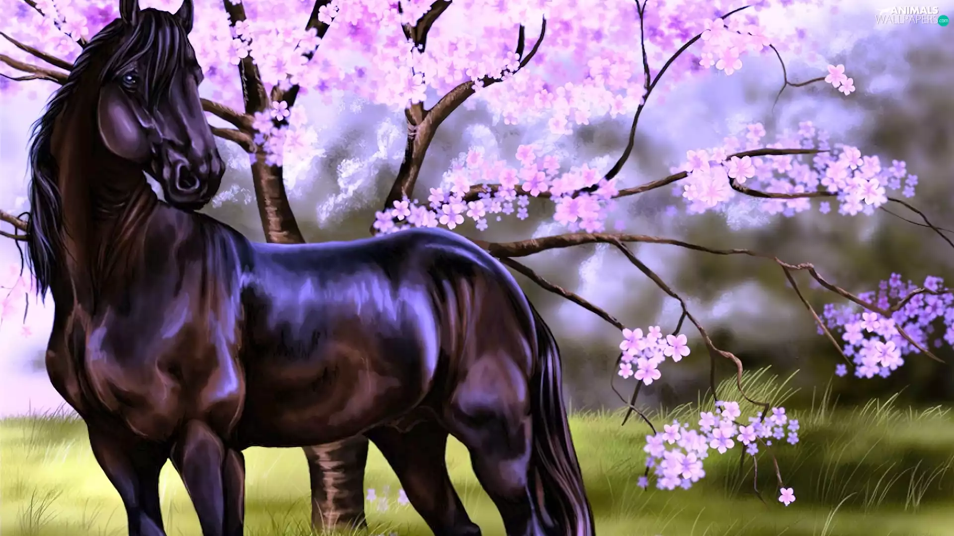 Horse, trees, donuts, Black