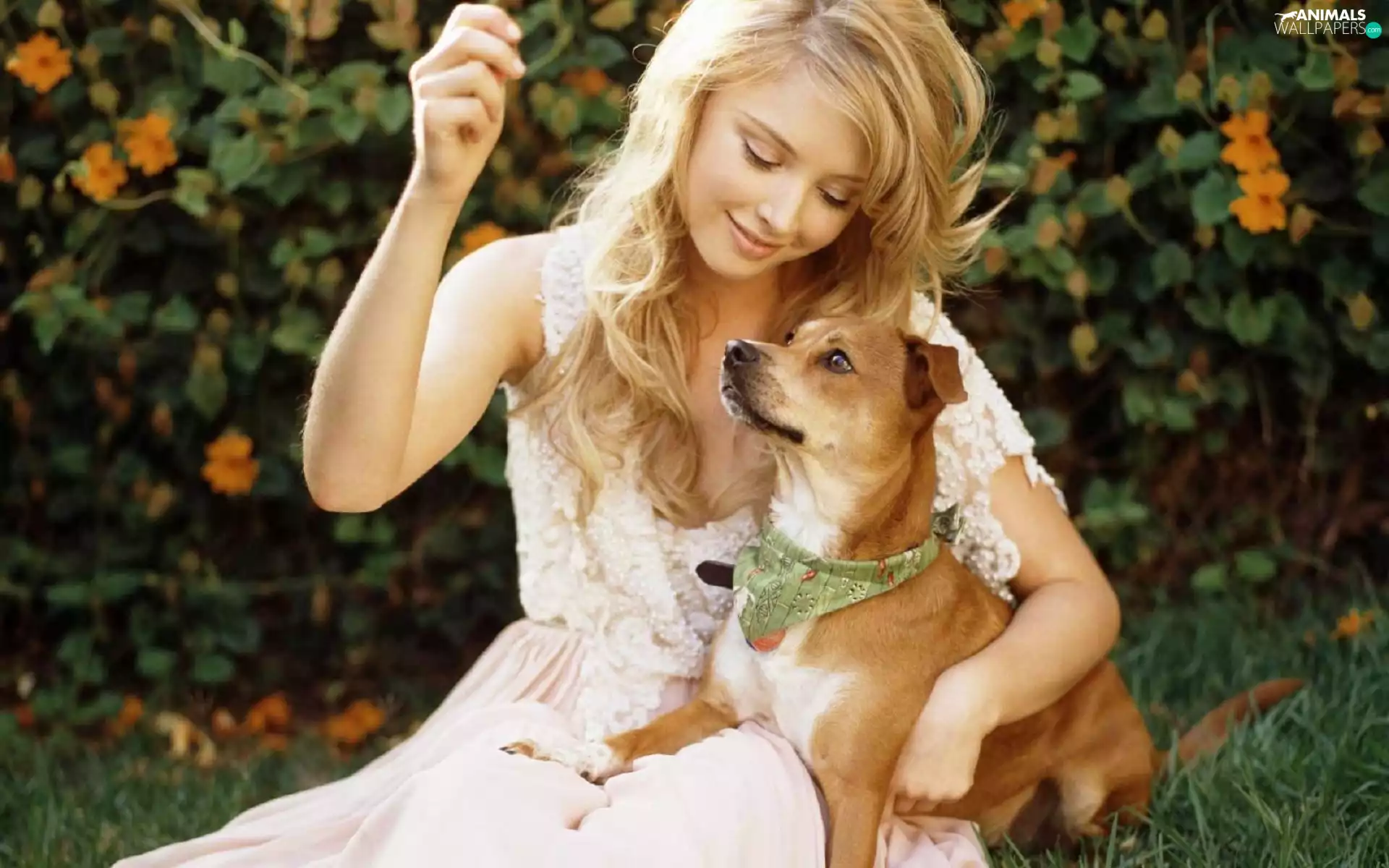 doggy, Elisabeth Harnois, Blonde
