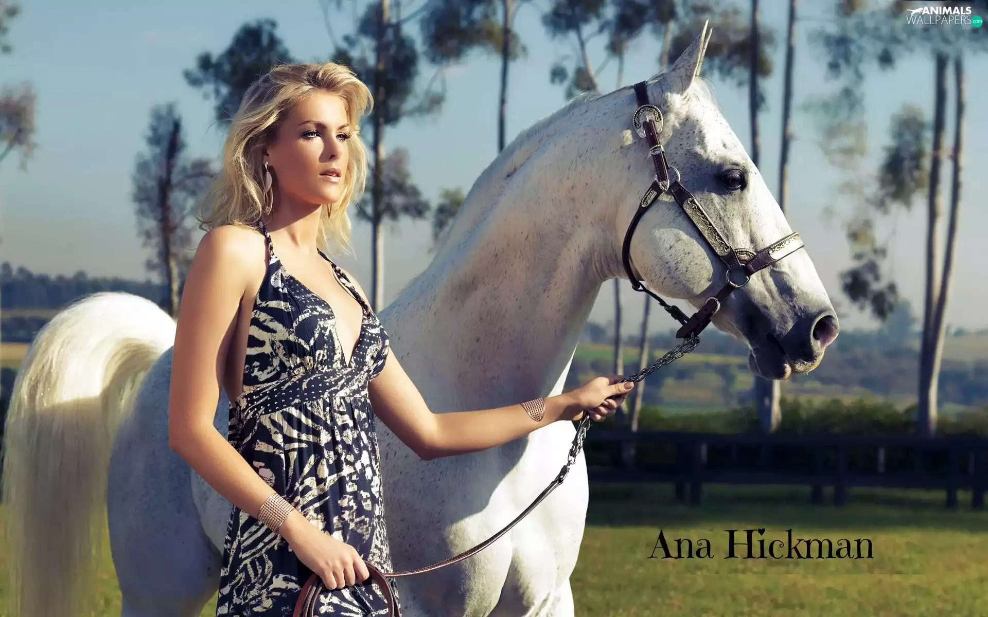 Horse, Ana Hickman, Blonde