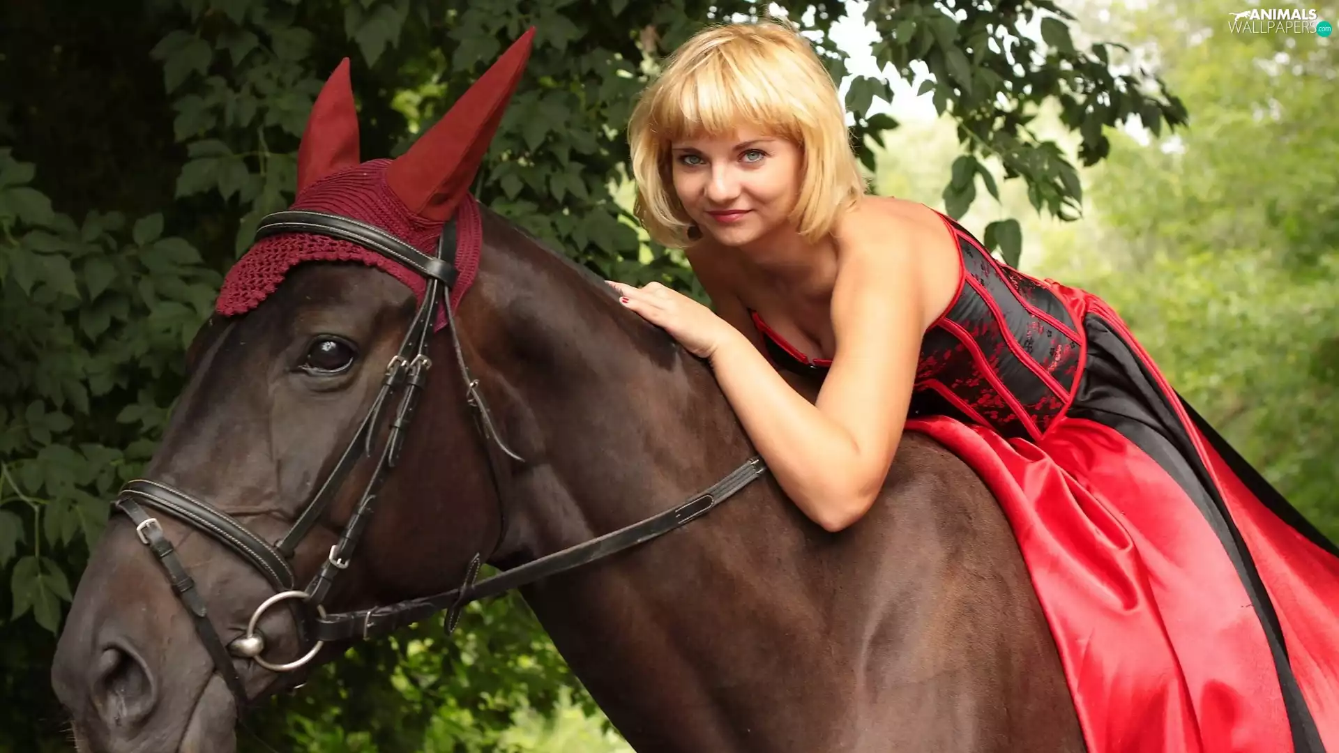 Women, Horse, ears, Blonde
