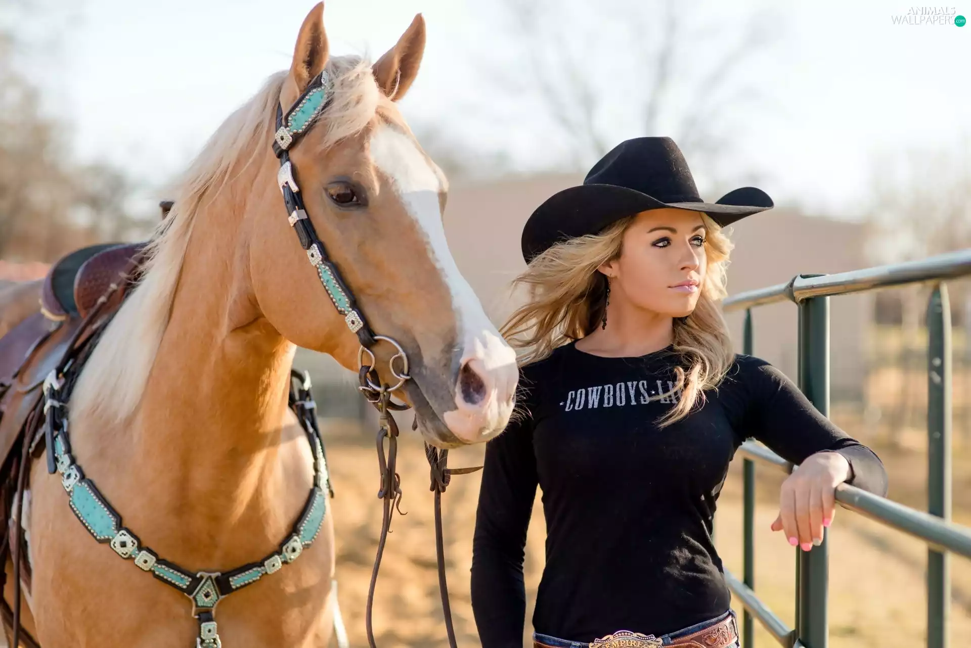 Women, Hat, Horse, Blonde