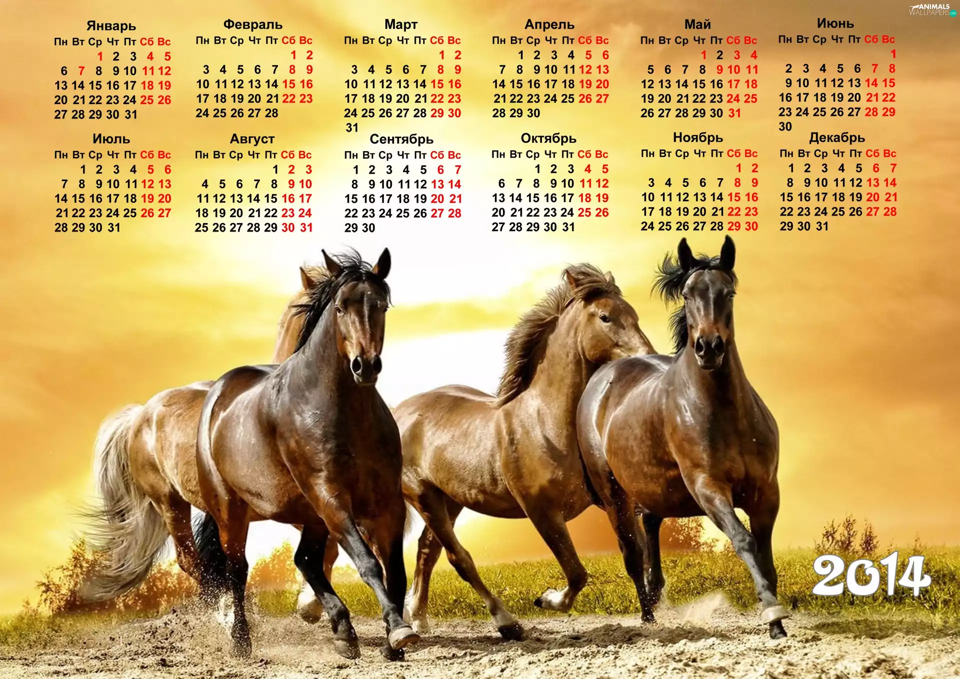 bloodstock, Calendar, 2014