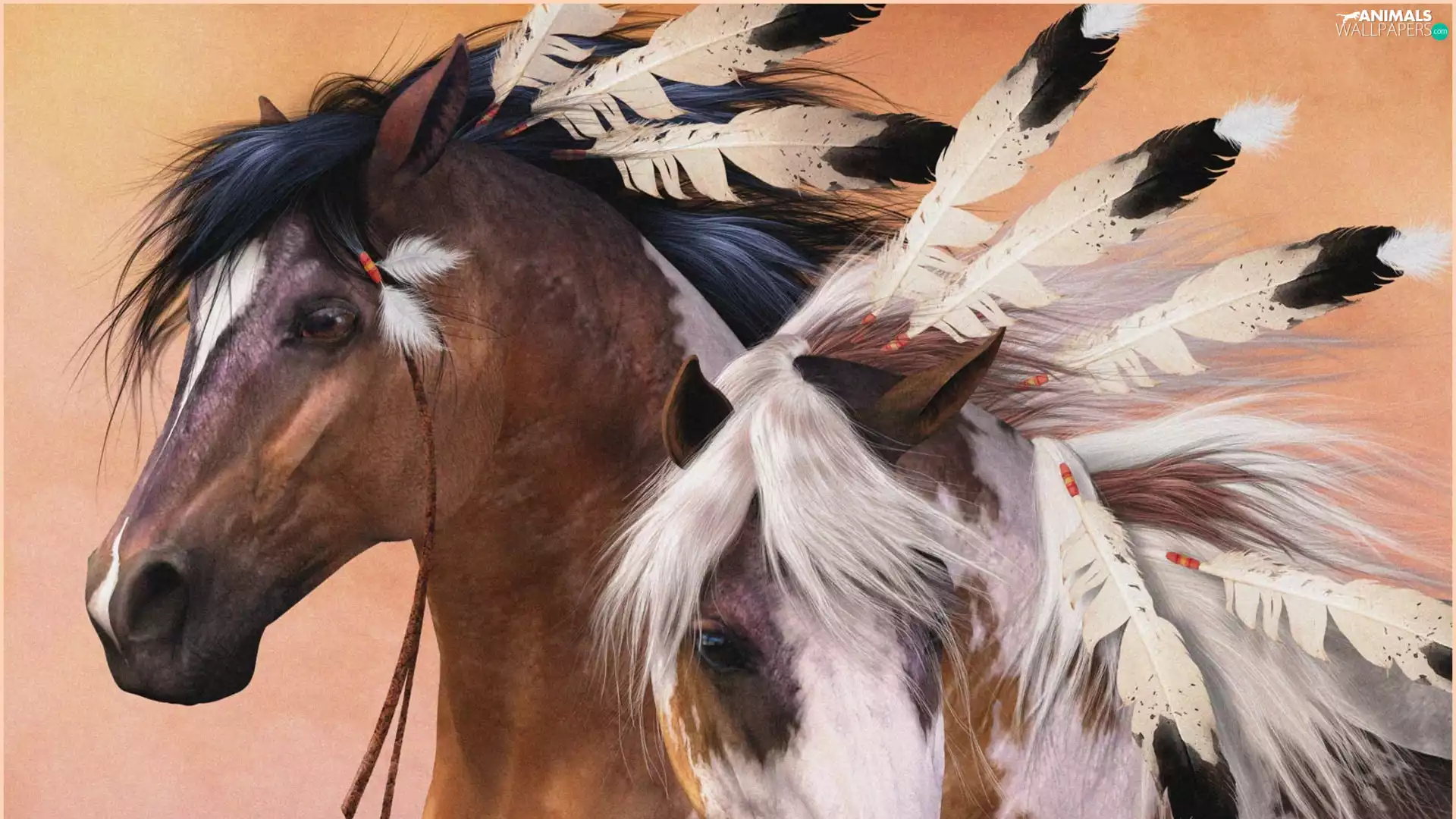 feather, Two cars, bloodstock