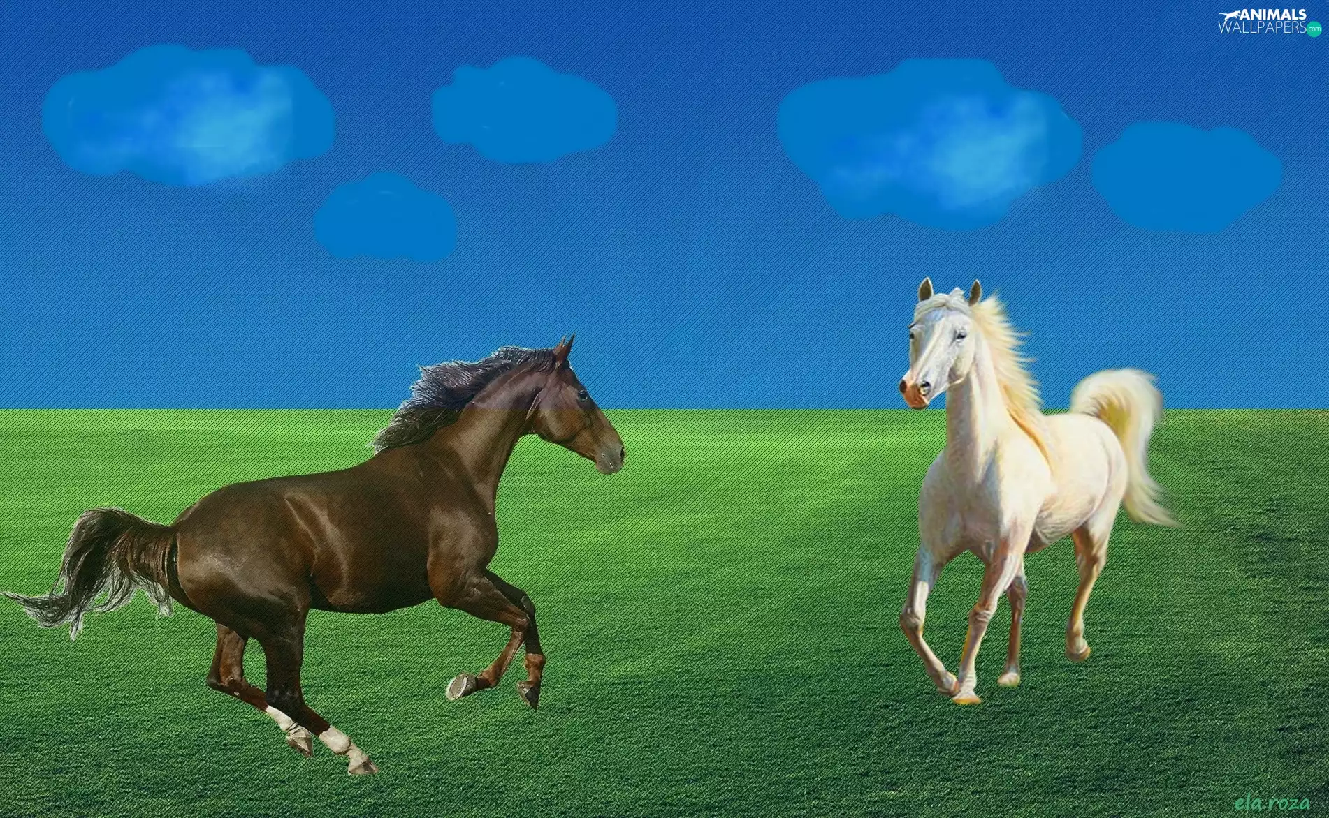 Meadow, Two cars, bloodstock