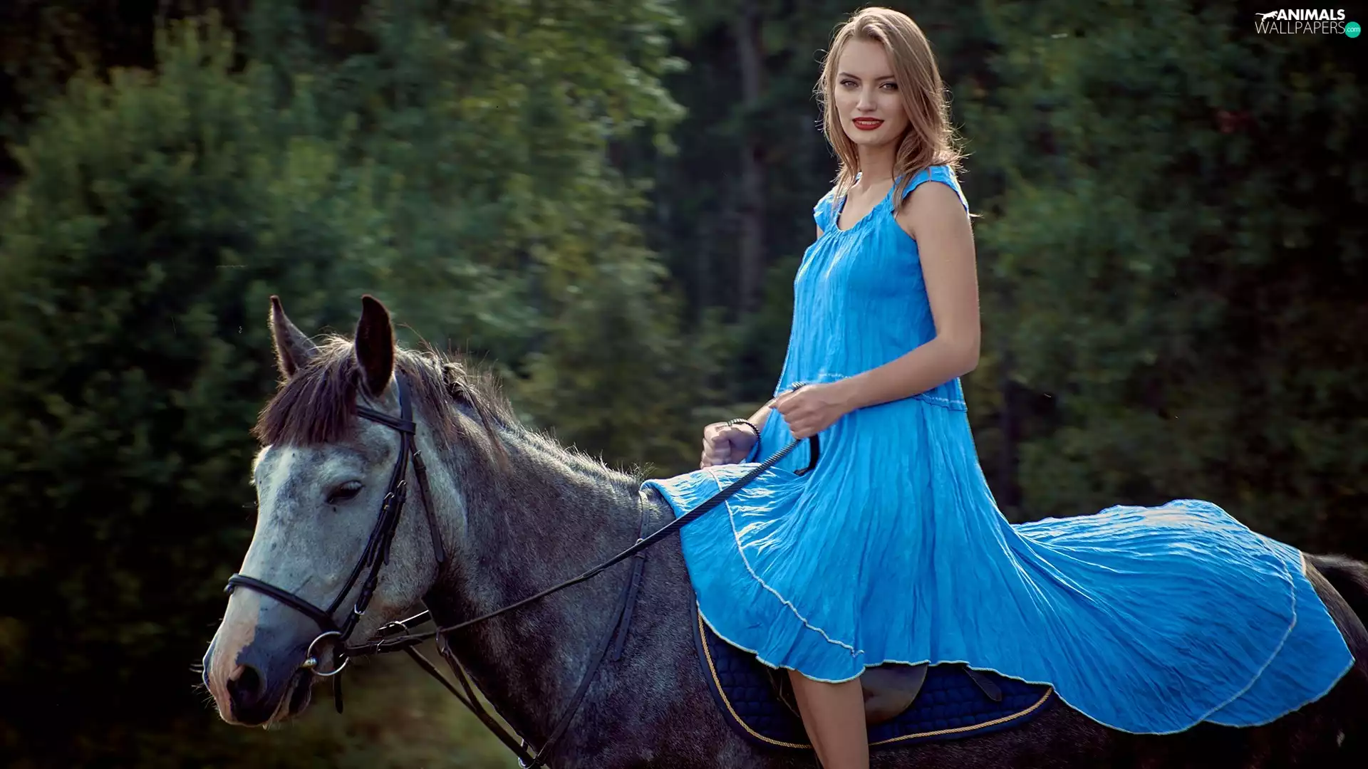 Women, dress, Horse, Blue