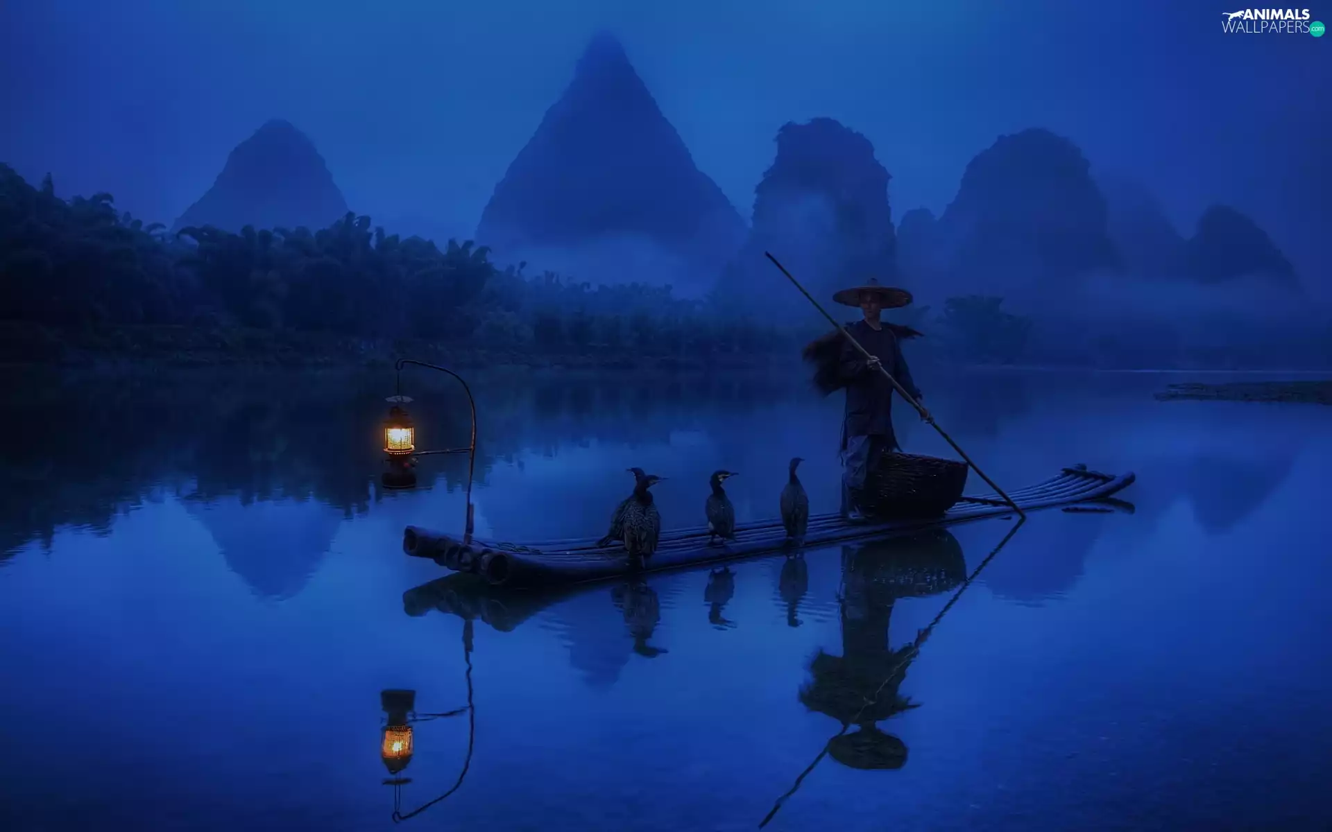 Night, Boat, cormorants, Human, River