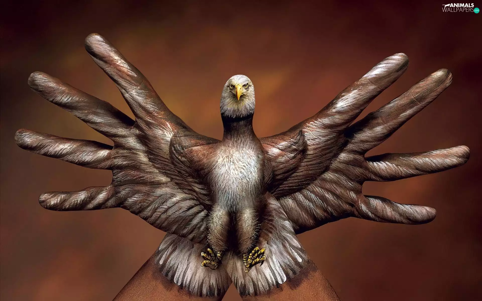 Bodypainting, hawk, hands