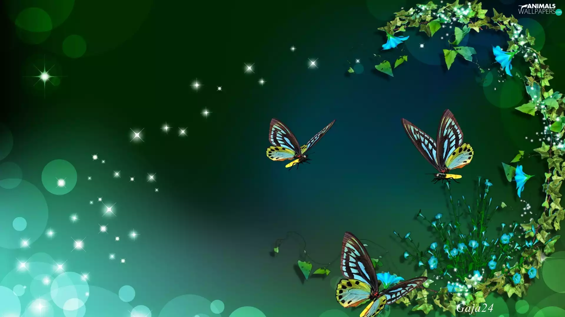 butterflies, Bokeh, Art, Blue Flowers