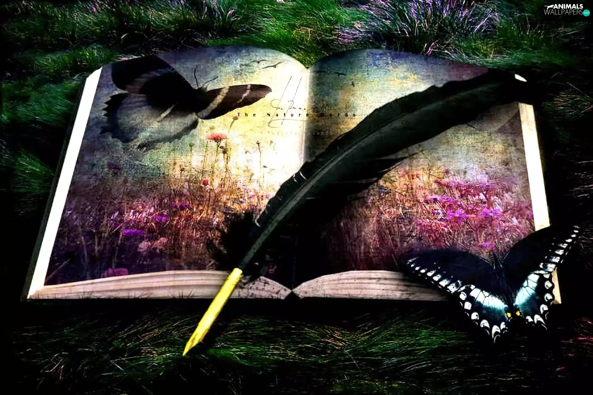 butterflies, pen, gooses, Book