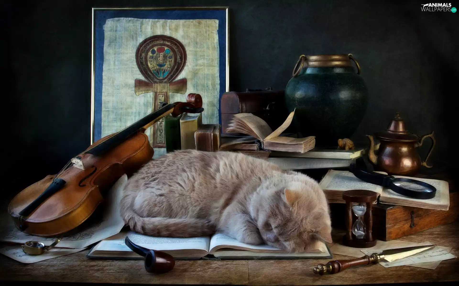 cat, pipe, violin, Book