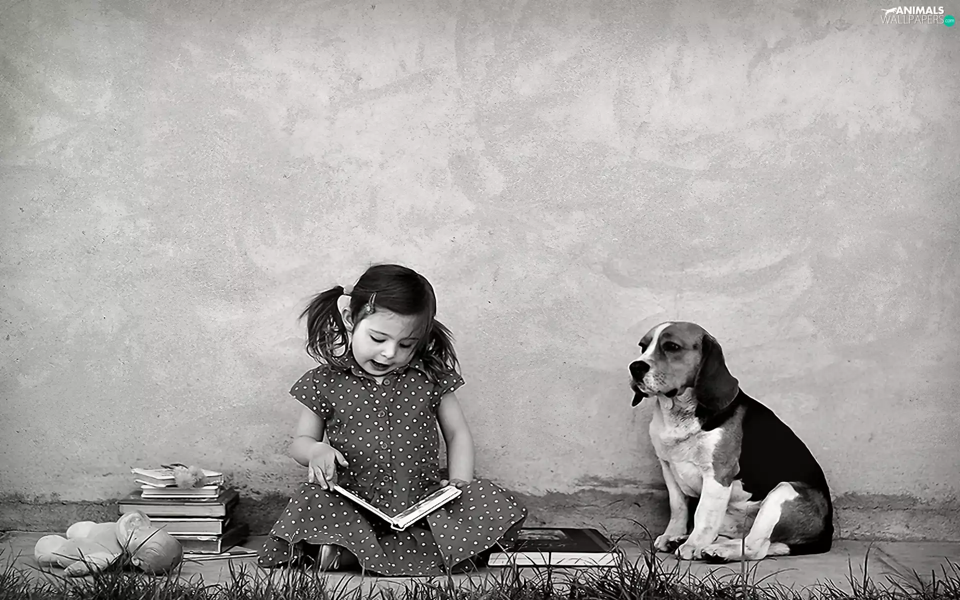 girl, dog, Beagle, Books