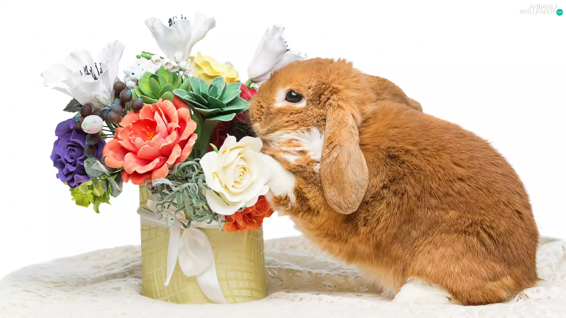 Box, Flowers, Rabbit