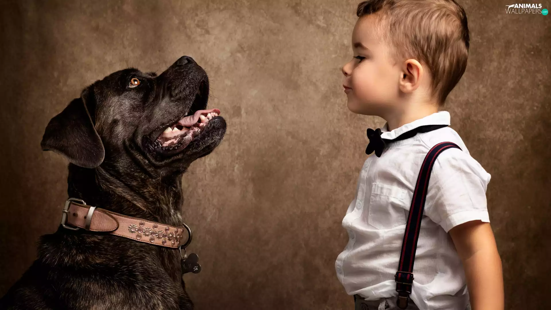 dog, boy, The look, mouth