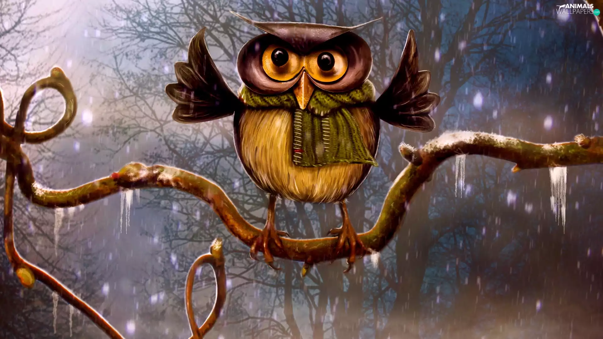 2D Graphics, owl, branch