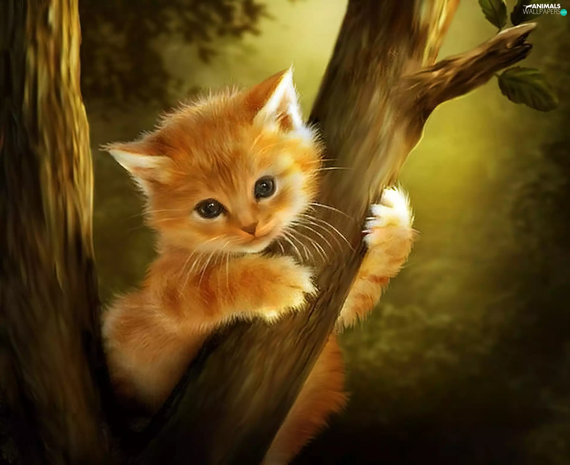 branch, kitten, trees