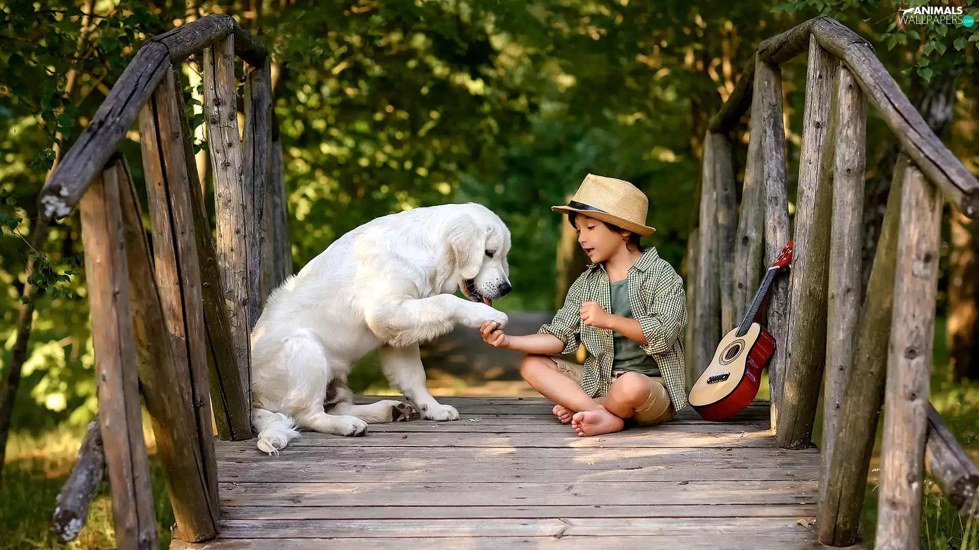 Labrador Retriever, boy, bridges, Guitar, footbridge, dog