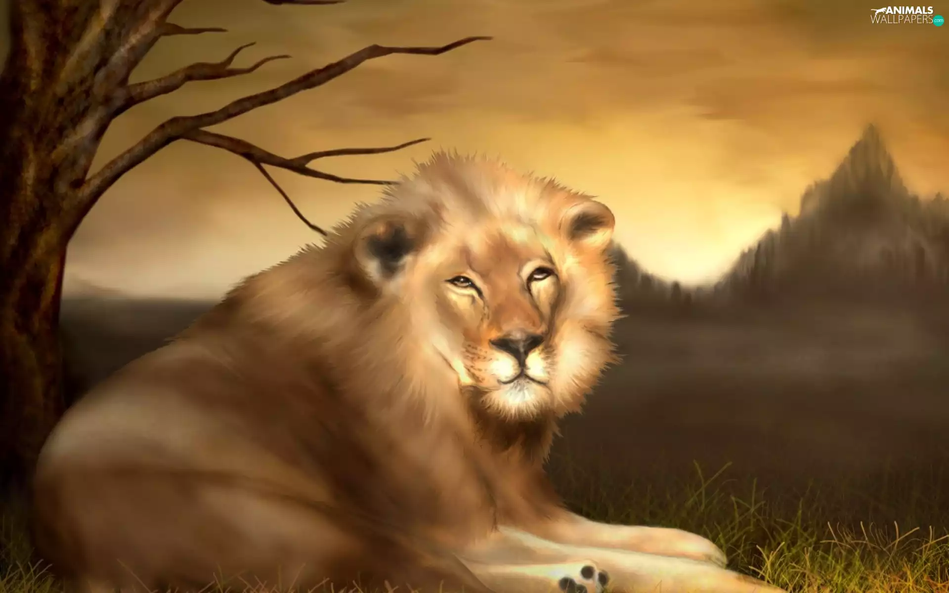 bronze, Lion, colors