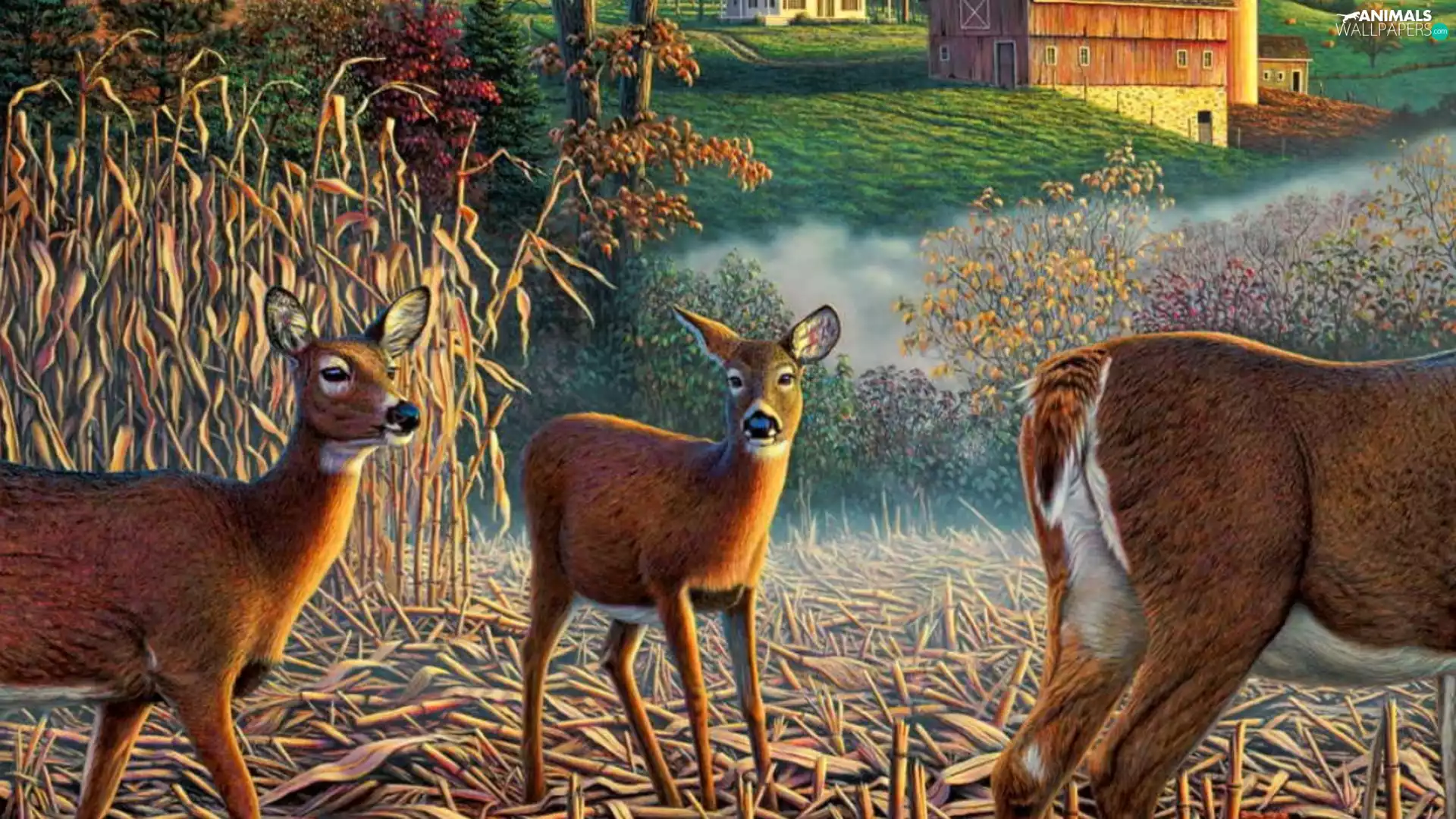grass, buildings, trees, viewes, deer