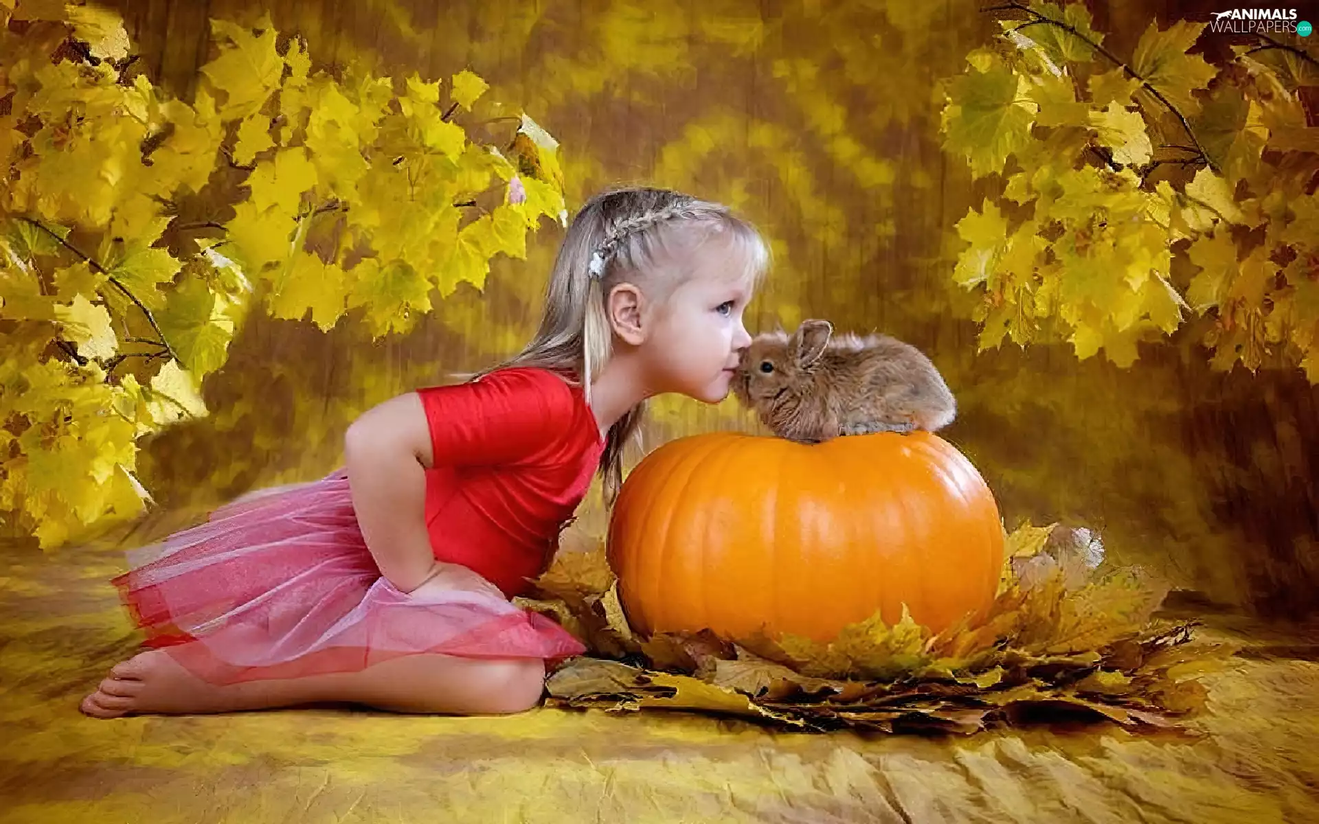 Bunny, girl, pumpkin