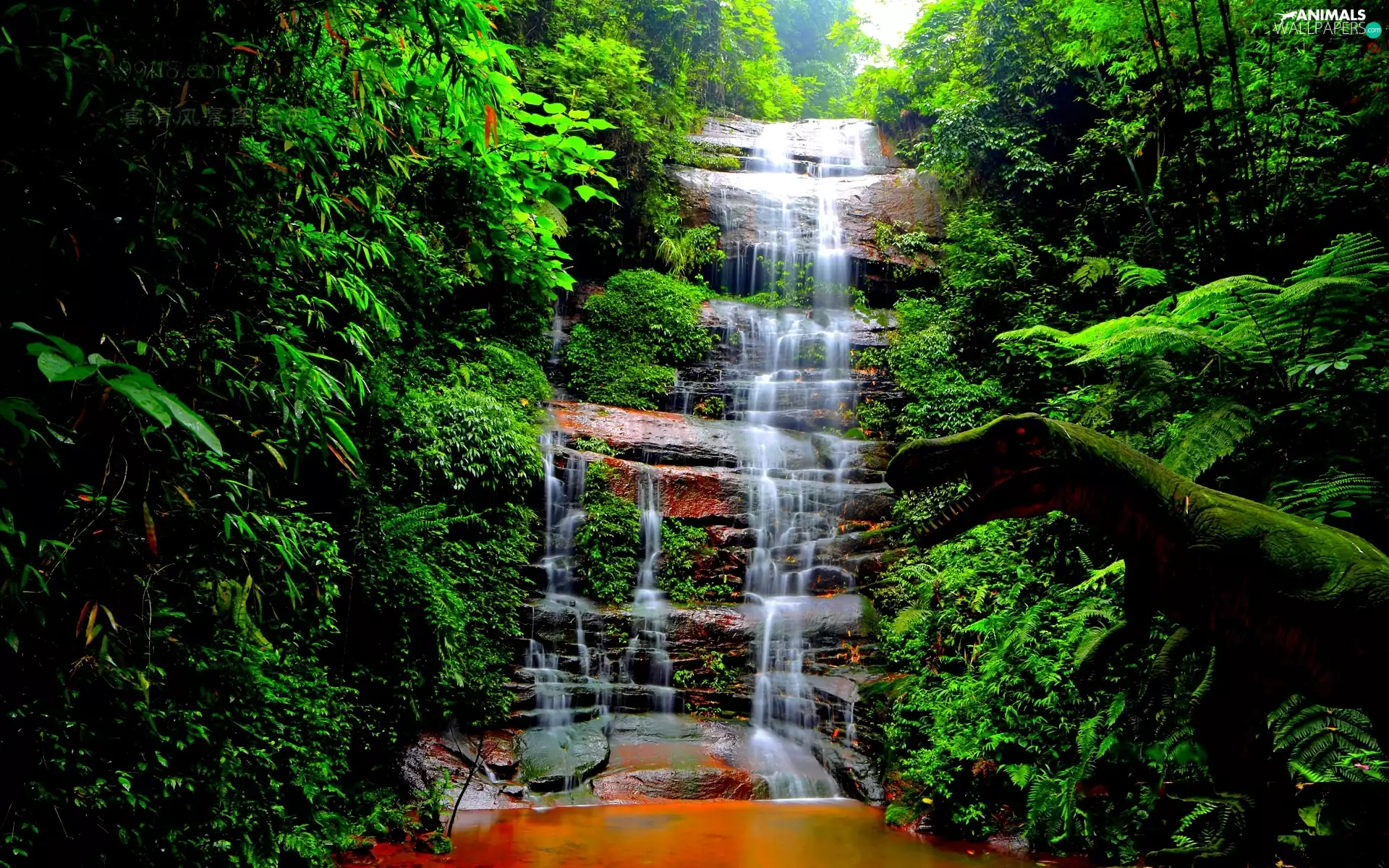 Bush, waterfall, water
