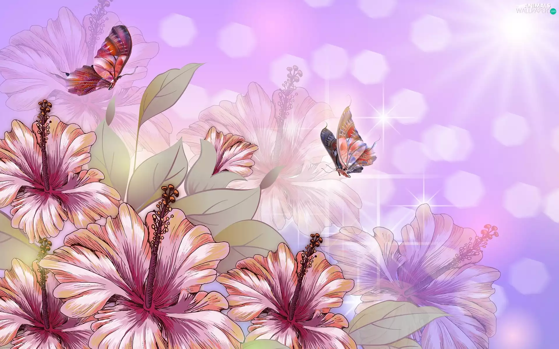 Flowers, butterflies, 2D Graphics, hibiskus