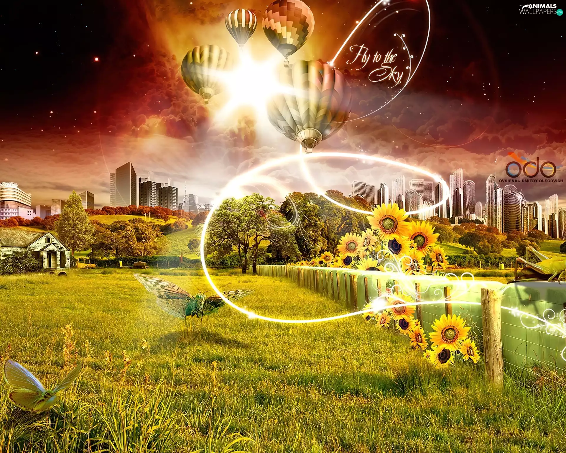 Balloons, Nice sunflowers, butterflies