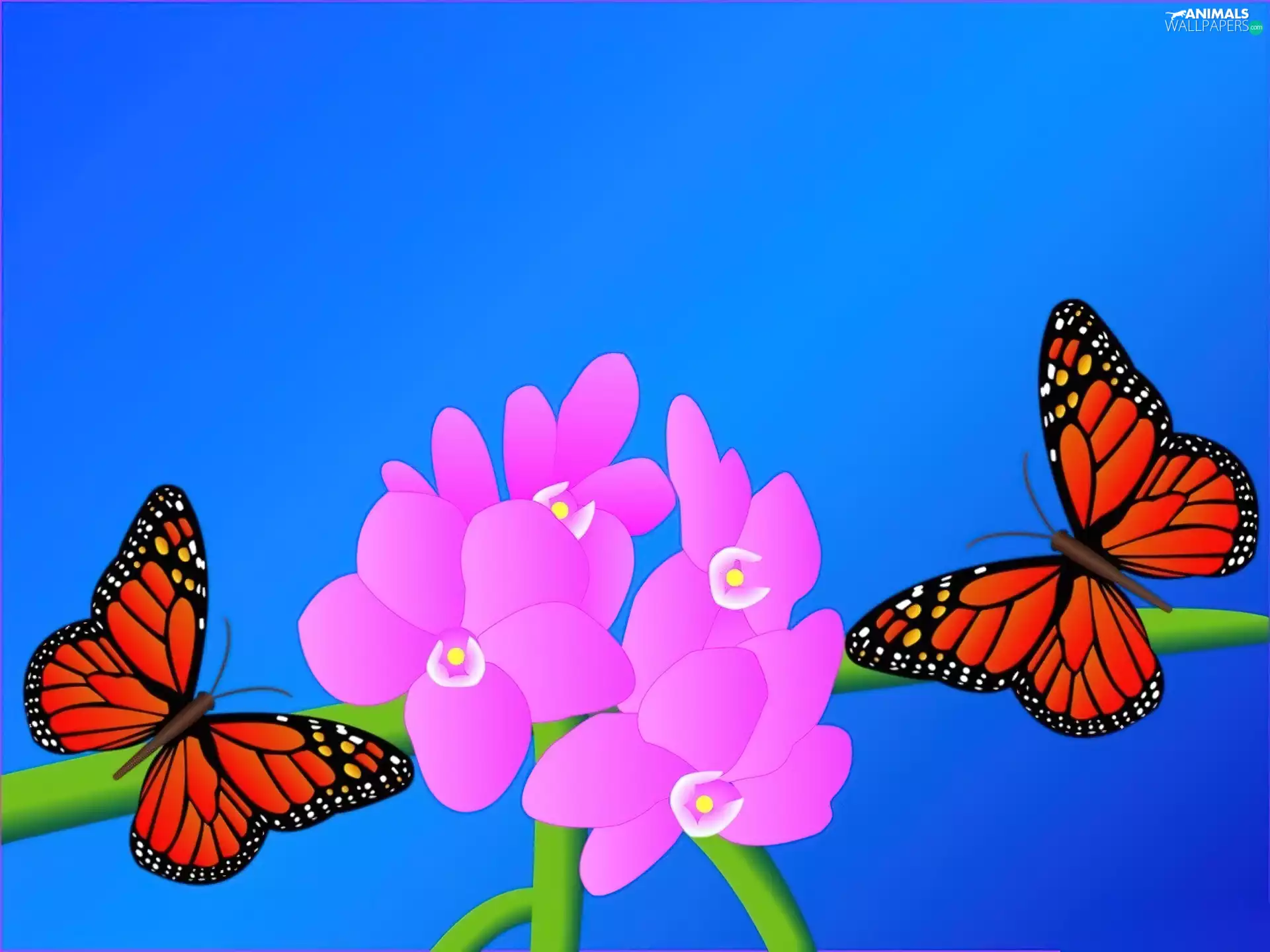 butterflies, Flowers