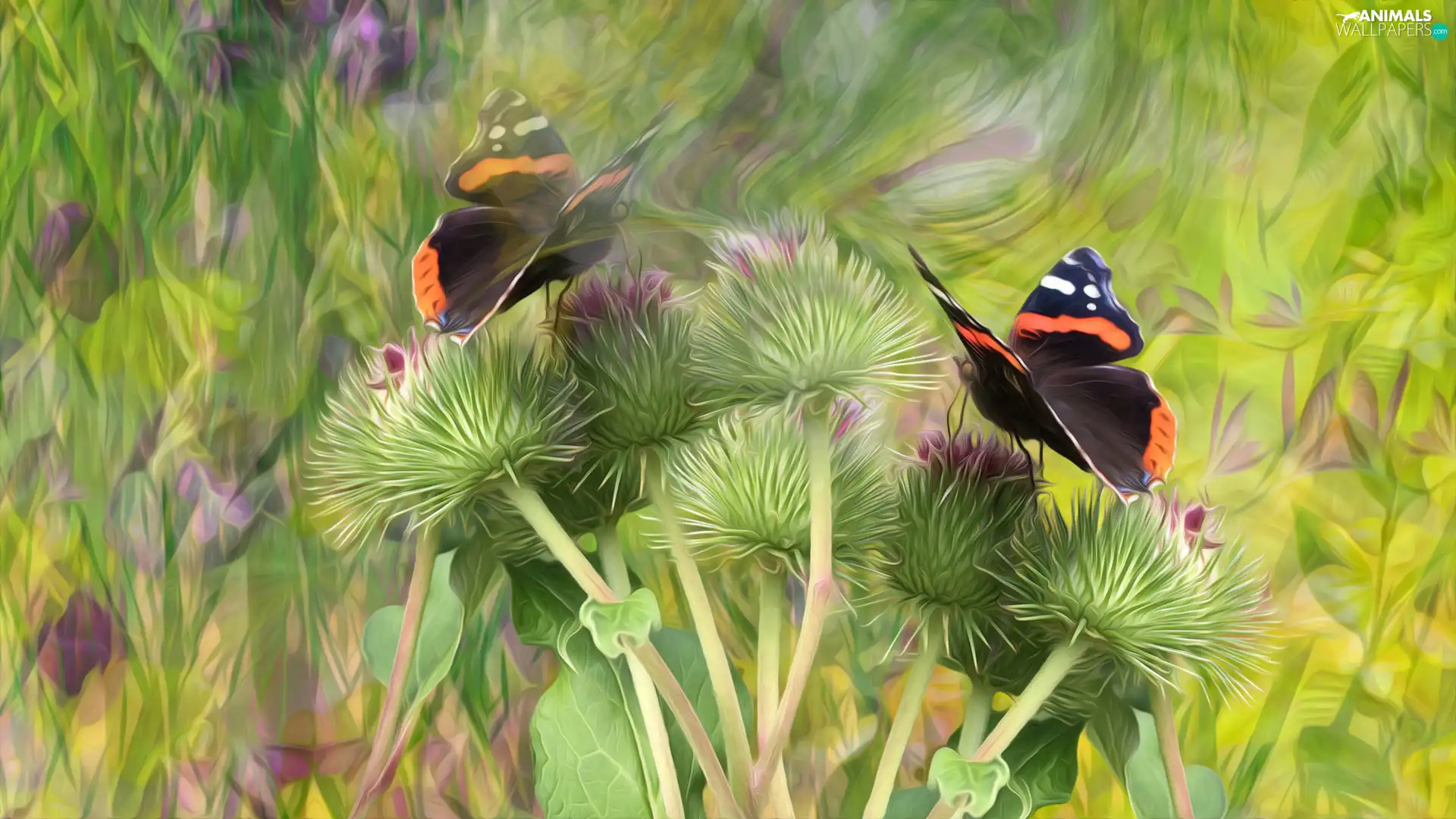 graphics, plant, teasel, butterflies