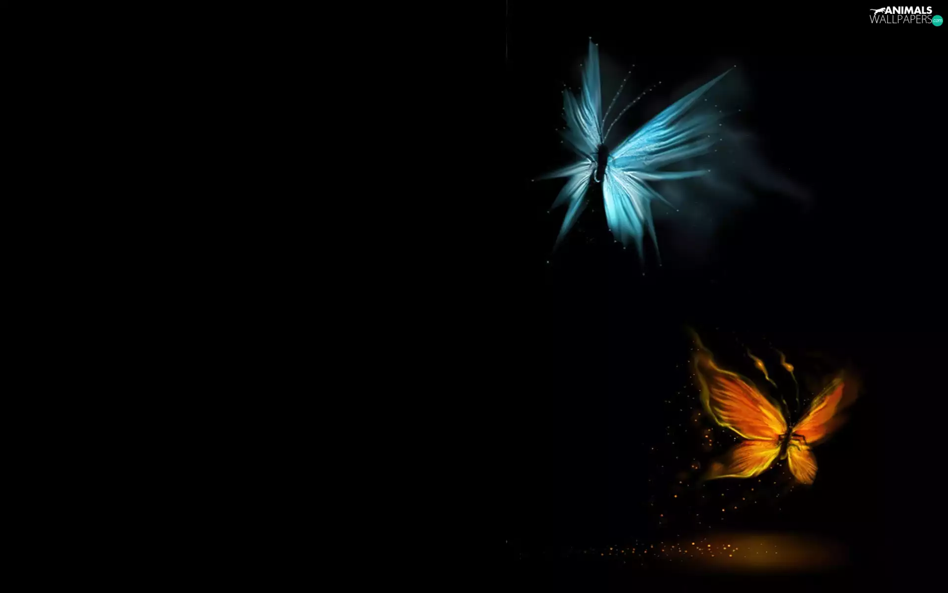 butterflies, graphics