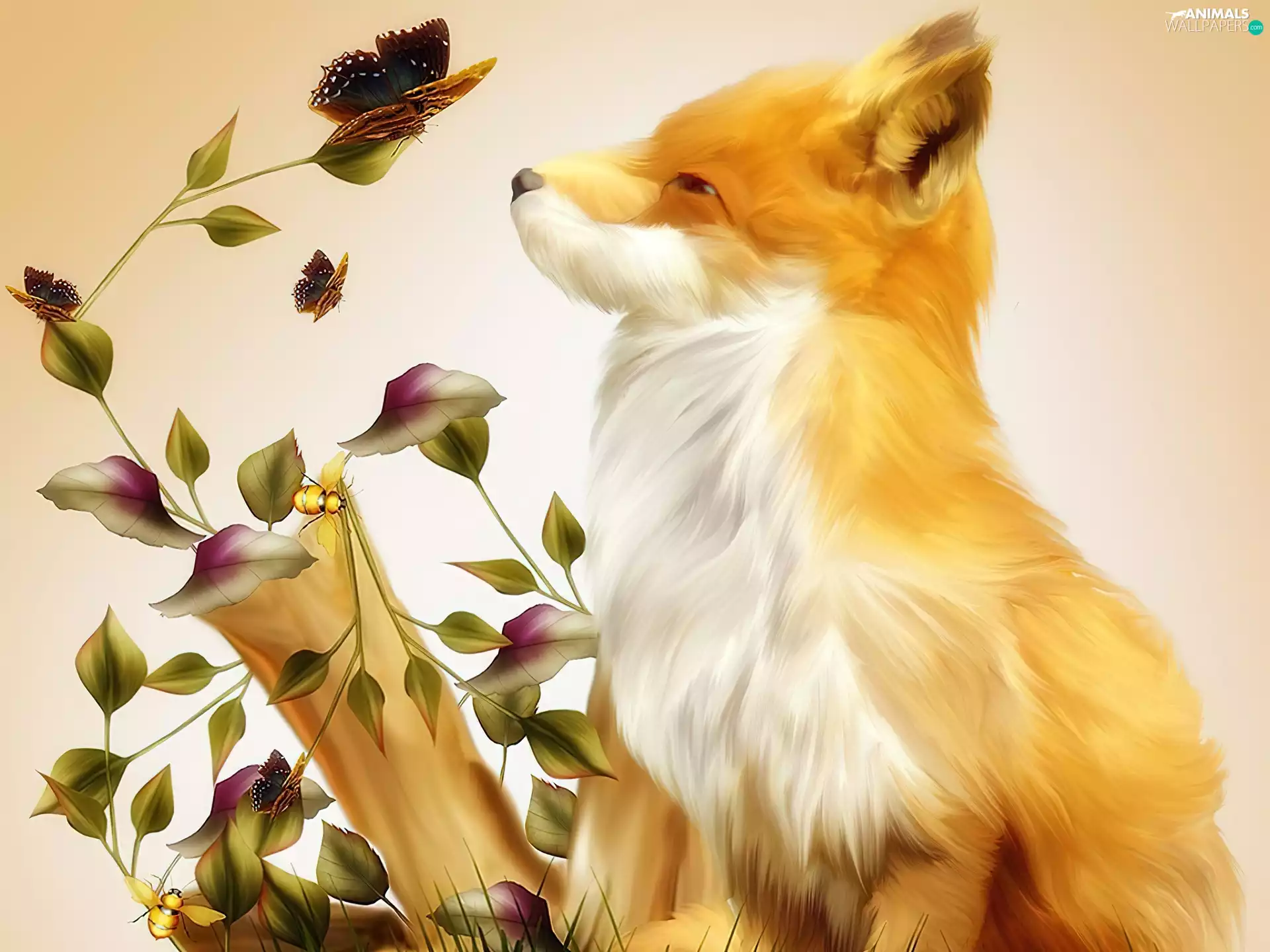 butterflies, fox, Plants