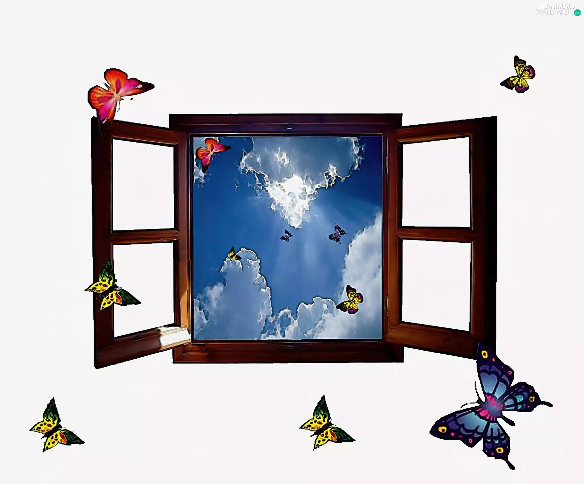 butterflies, Open, Window