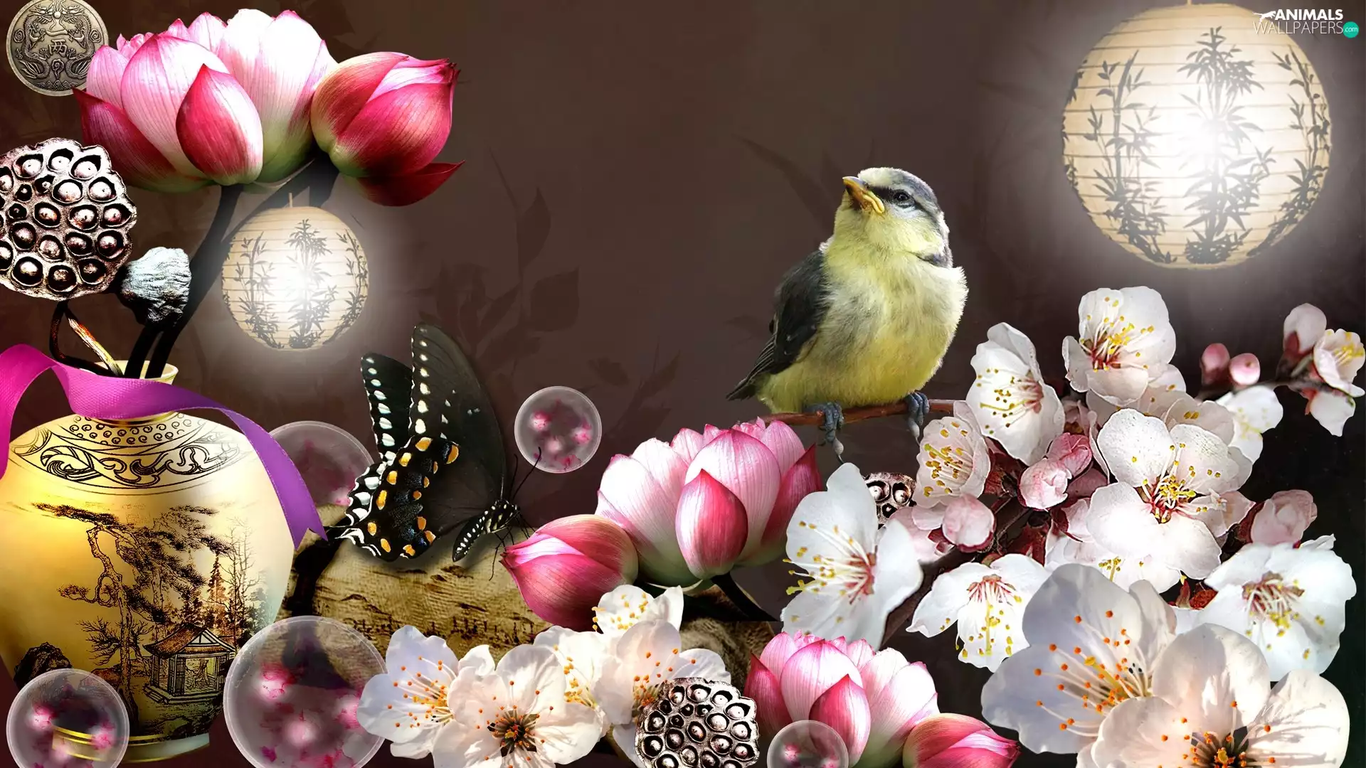 birdies, Flowers, Art, butterfly