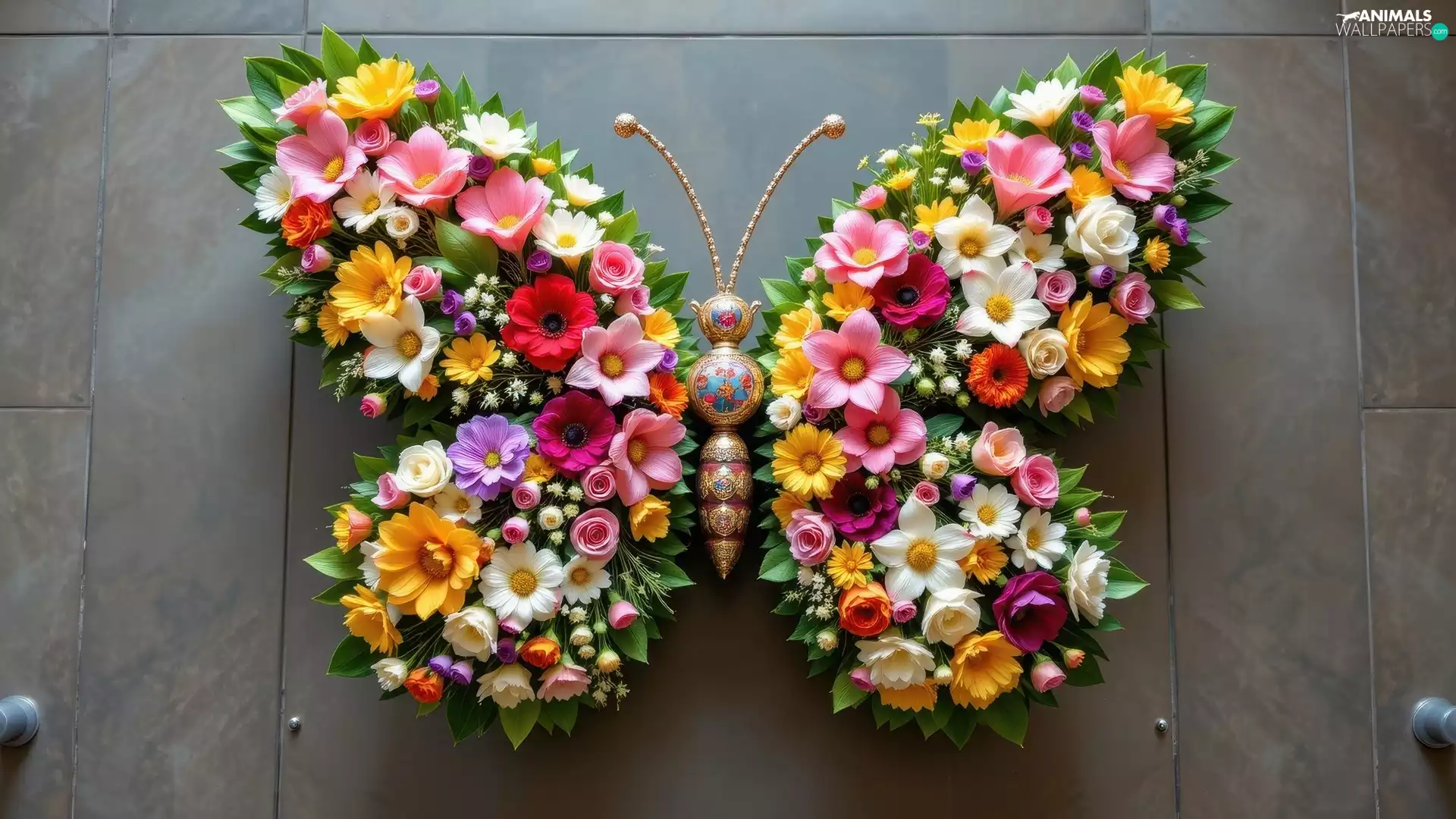 floral, color, Flowers, butterfly