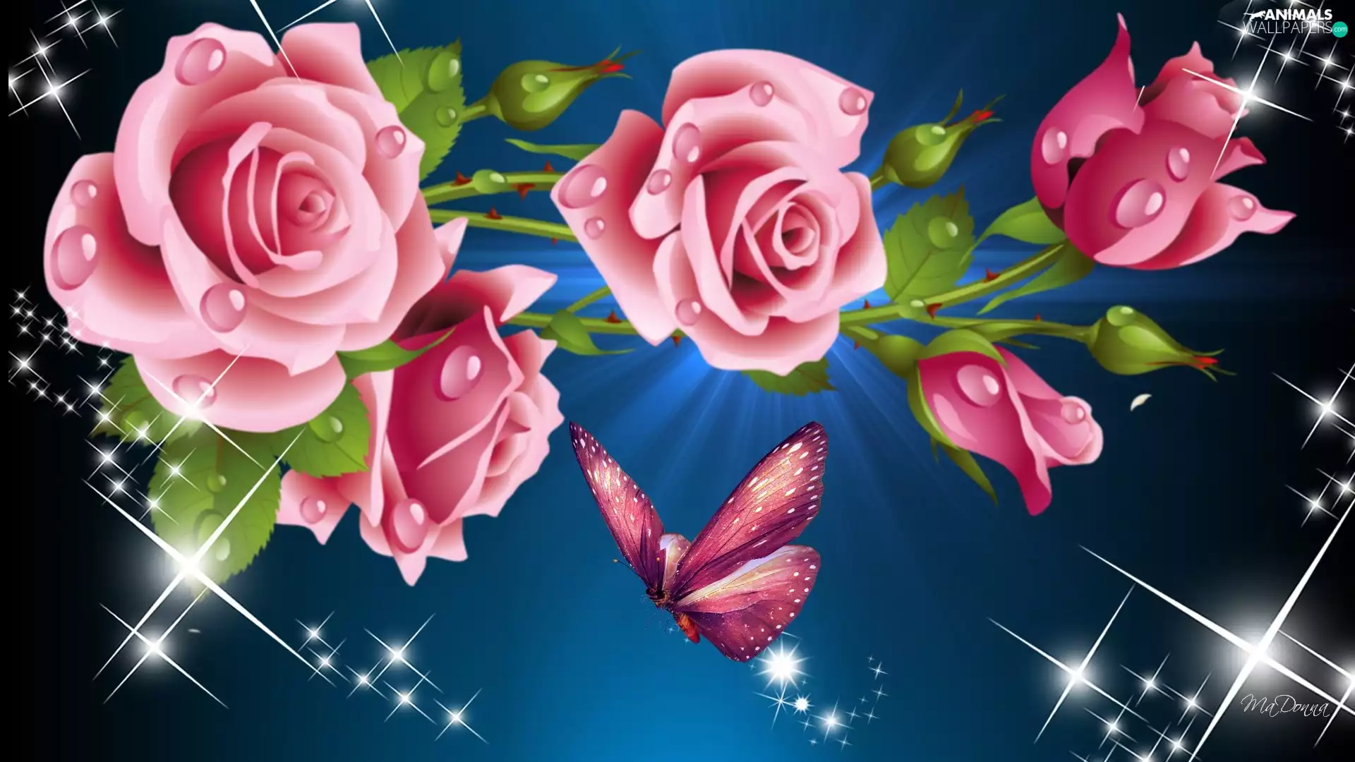 reflections, roses, graphics, butterfly, Pink, light, Computer