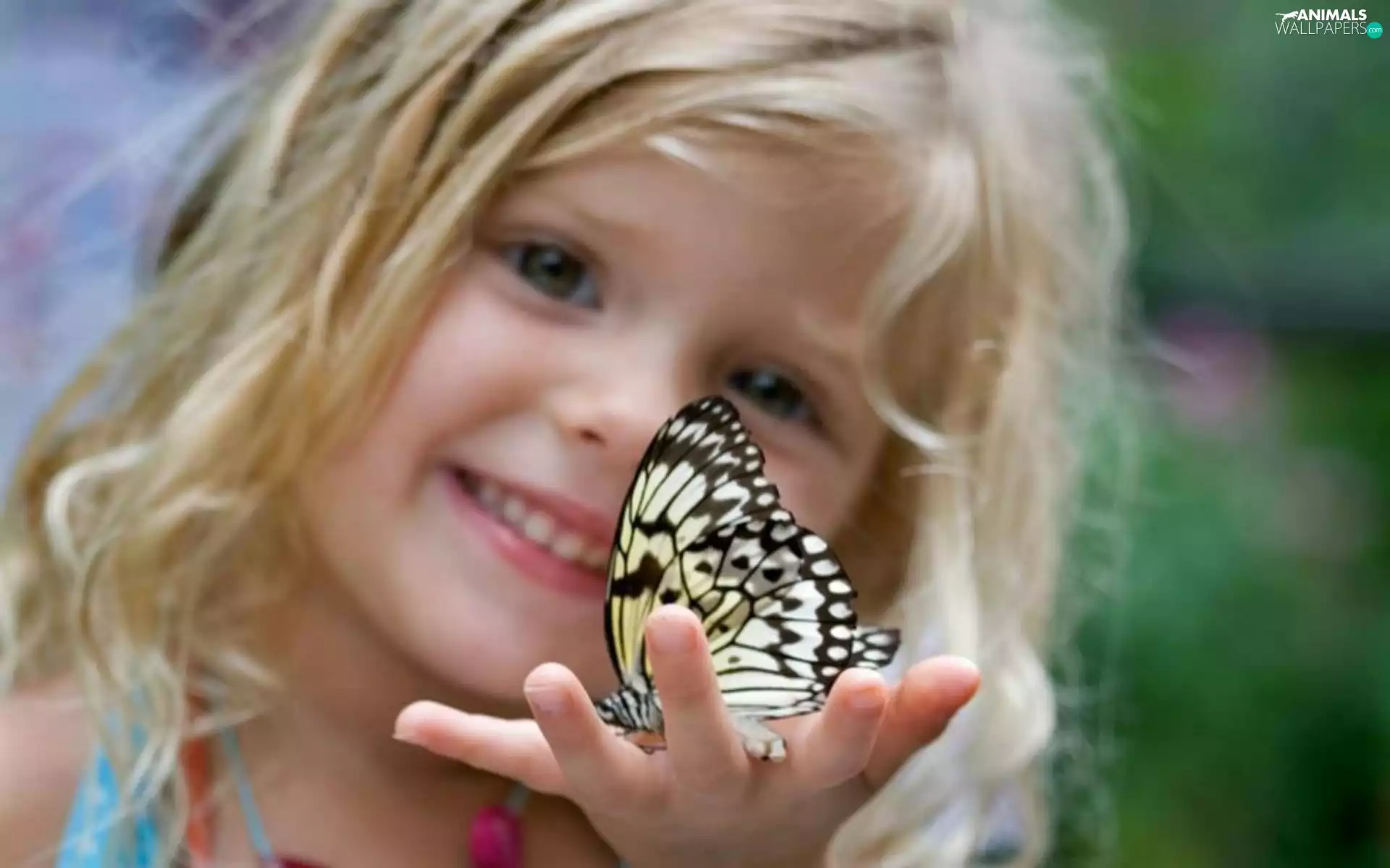 butterfly, girl, hand