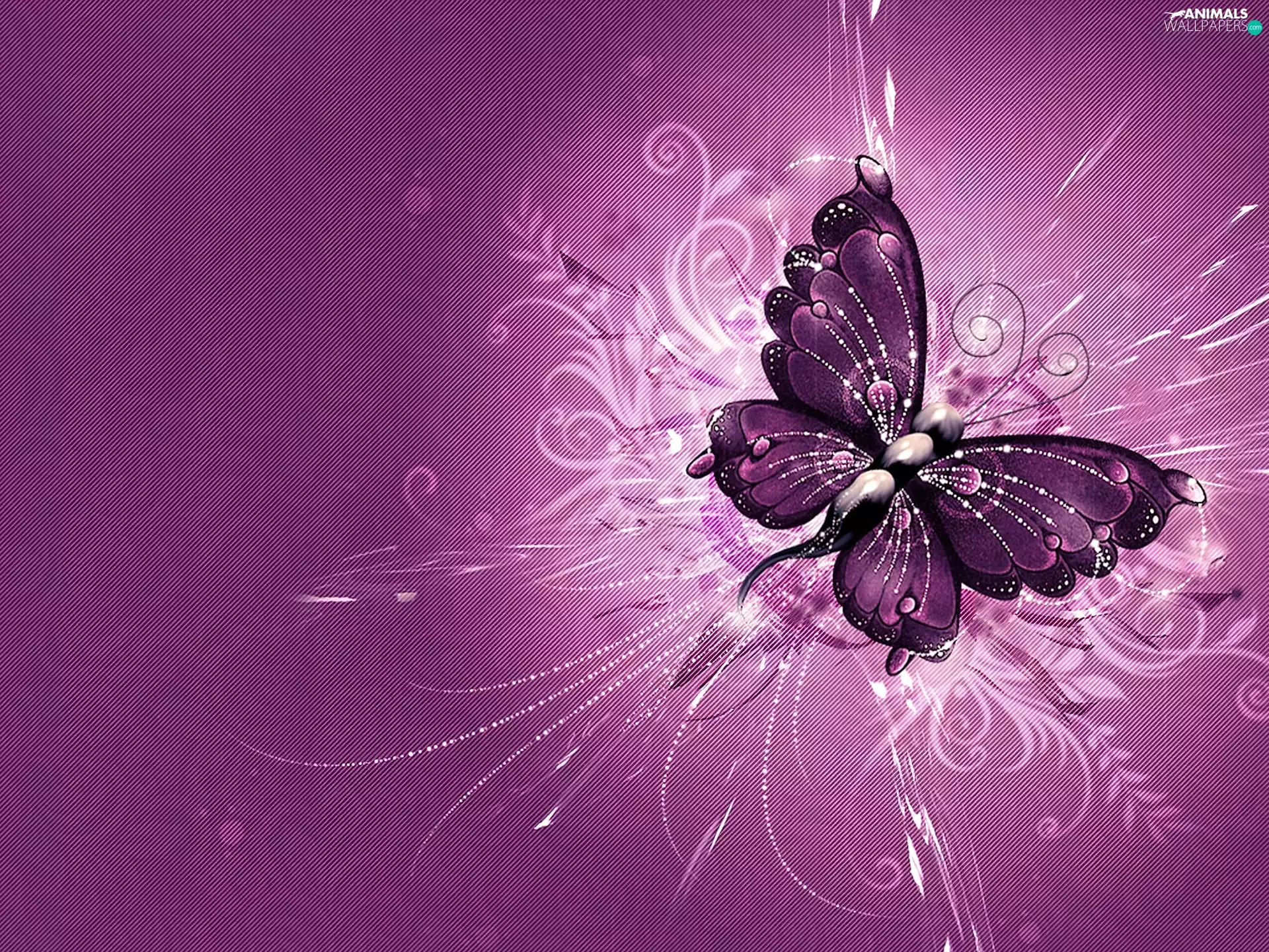 butterfly, abstraction, Pink